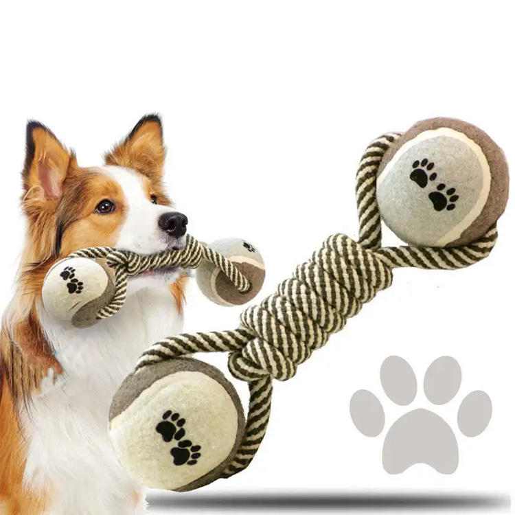 Er hunde tygger sunne for hunder?