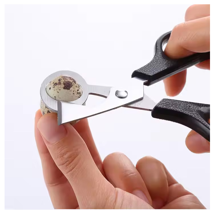 Billig kjøkkenverktøy Pigeon Quail Bird Egg Clipper Cutter Scissor