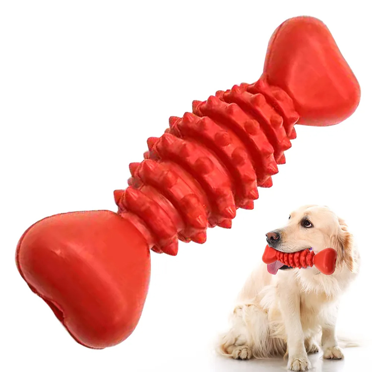 Naturgummi beinform tenner rengjør hund tygge leketøy