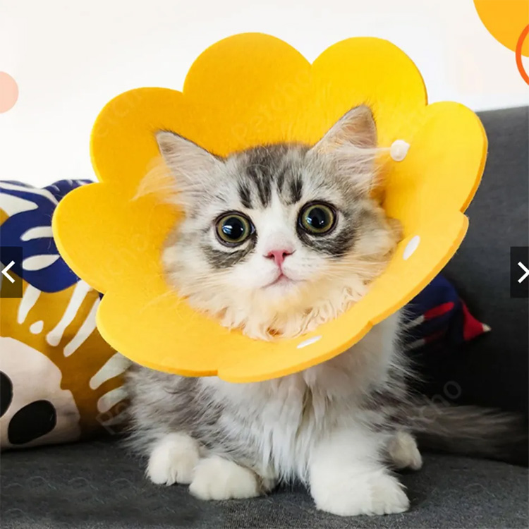 Pet Cone Elizabeth følte beskyttende utvinning hundekatt krage