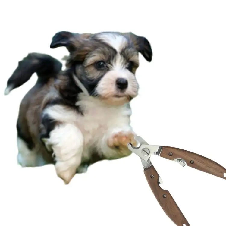 Pet Nail Grooming Tool: Guide to Choose Best Pet Nail Clipper