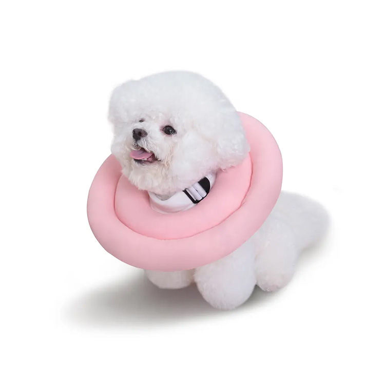 Gjenopprettingshund Elizabeth Cone Collar Elizabethan Cat Pet Collar