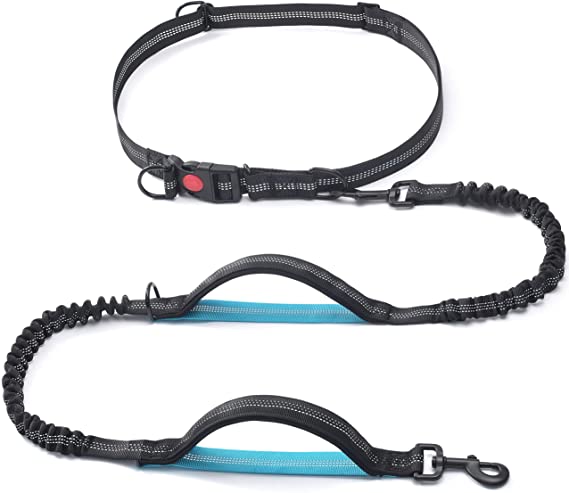 Reflekterende Dual Padded Bungee Running Hands Free Dog Leash