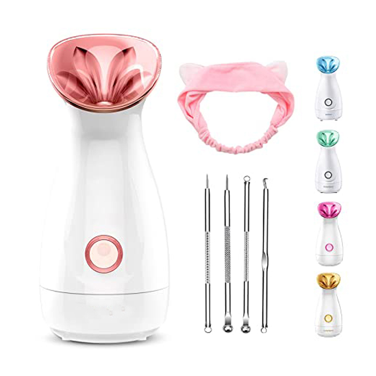 Sauna Spa Atomizer Luftfukter Nano Ionic Facial Steamer